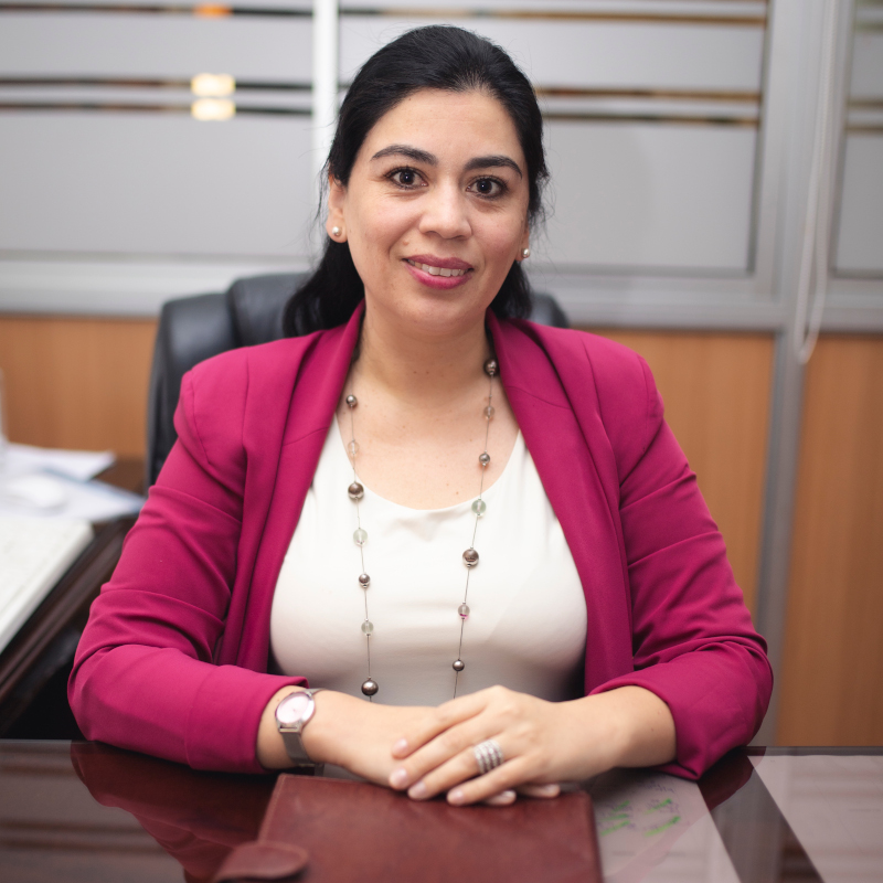 Jaqueline Godoy InES Género