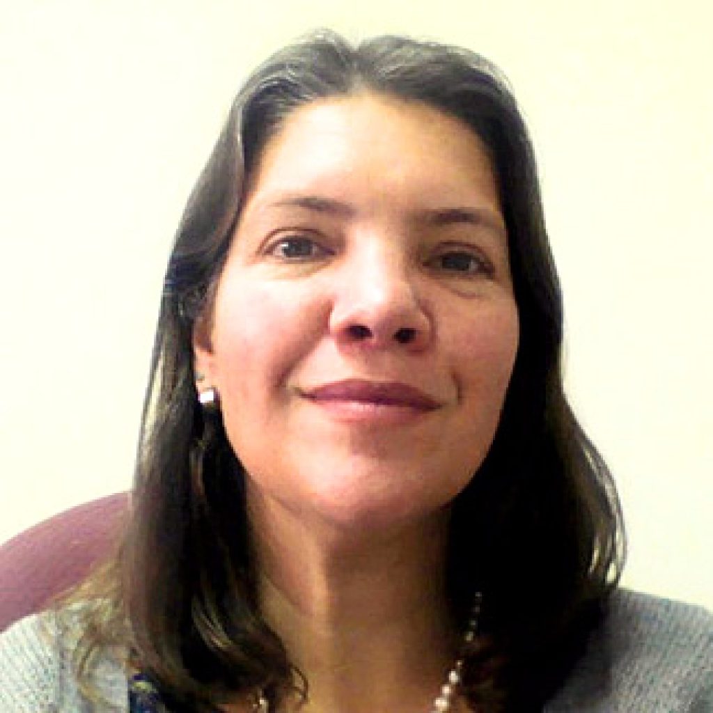 Claudia Correa Claudia Correa InES Género
